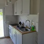 Nel Медулин